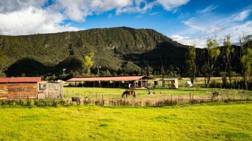 El Nodo Glamping