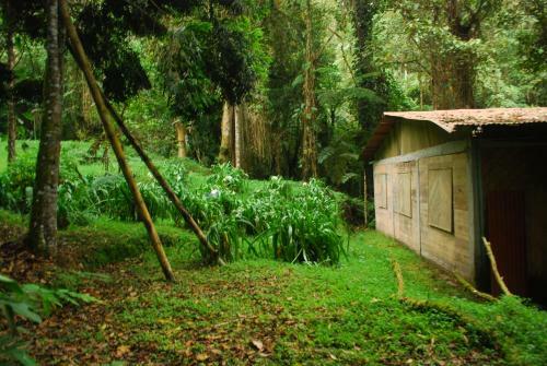 Hostal Nuestro Bosque I