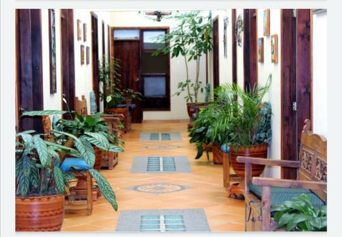 Hotel Tuta Zuareal