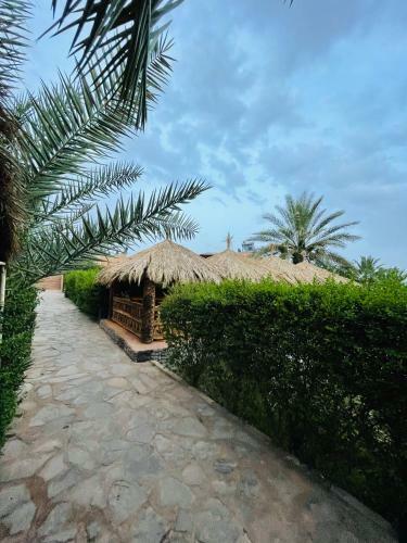 Posada Paradis Touareg