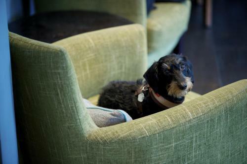The Lodge Hotel - A Bespoke Hotel