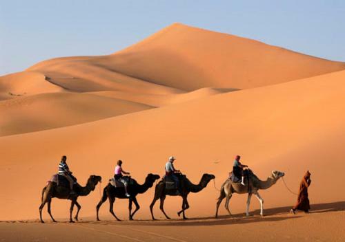 Bed & Breakfast Camp Sahara Desert Mhamid