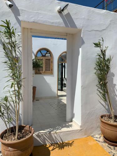 Hostal Dar Gecko