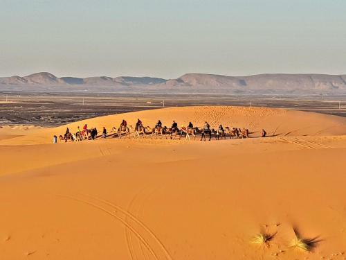 Safari Camp Tours