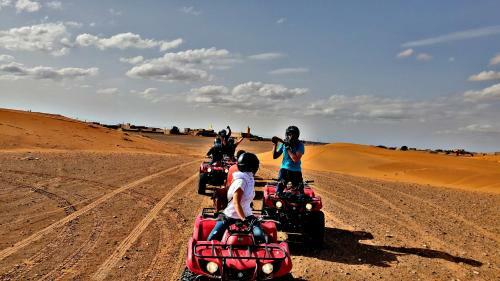 Safari Camp Tours