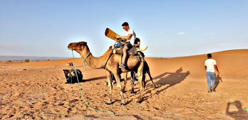 Safari Camp Tours