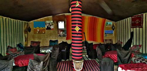Safari Camp Tours