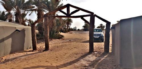Safari Camp Tours
