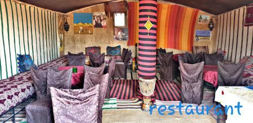 Safari Camp Tours
