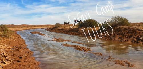 Safari Camp Tours