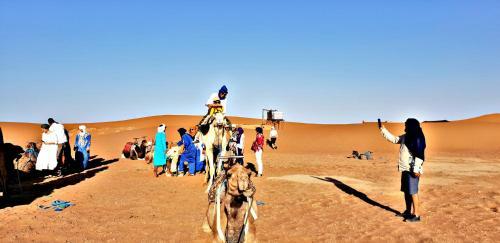 Safari Camp Tours