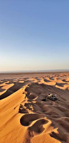 Safari Camp Tours