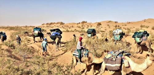 Safari Camp Tours