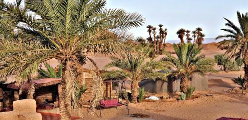 Safari Camp Tours