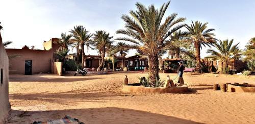 Safari Camp Tours