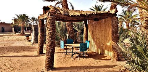 Safari Camp Tours