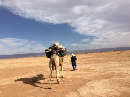 Chegaga Dunes Adventure