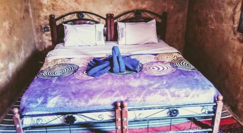 Bed & Breakfast Camp Desert Nomad Tour
