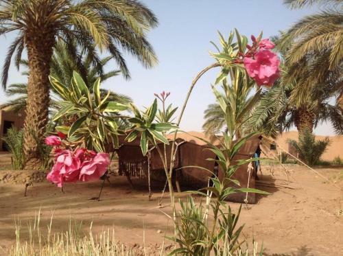 Chez Madani