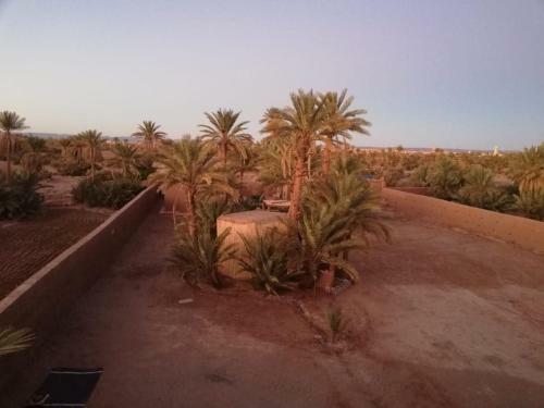 Posada Auberge T�n�r�