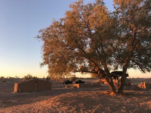 Lodge Nomadic Life Camp