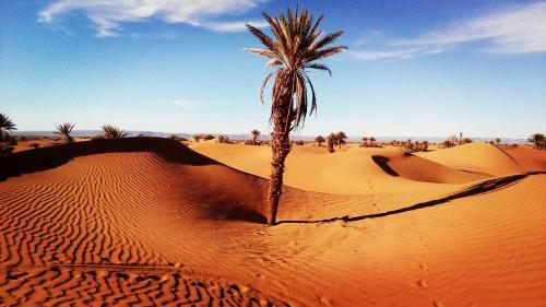 Bivouac M�lodie Du D�sert