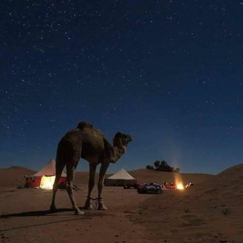 Berber Camp M'hamid