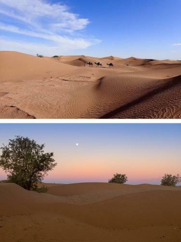 Berber Camp M'hamid