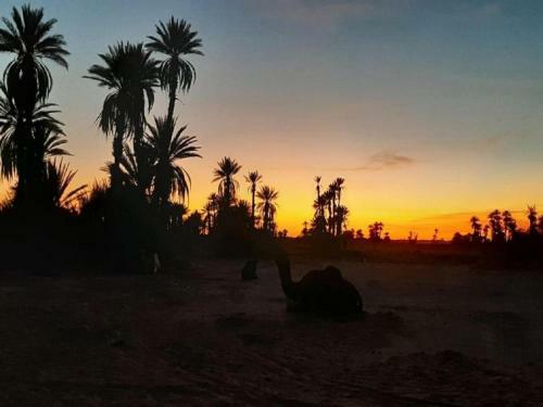 M'hamid Desert Camp Tours