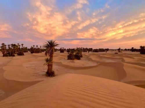 M'hamid Desert Camp Tours