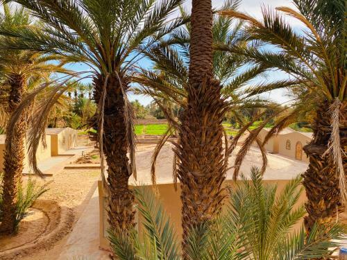 Camp Auberge Sahara Marokko
