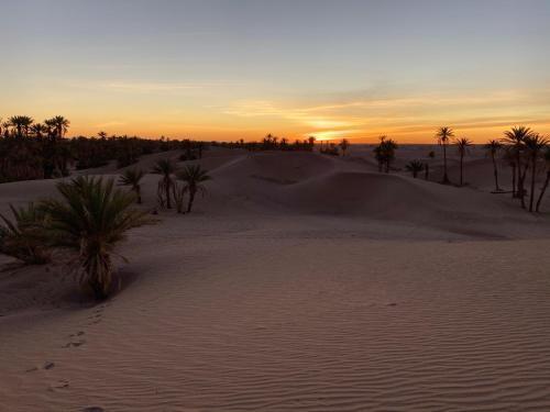 Camp Auberge Sahara Marokko