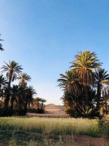 Camp Auberge Sahara Marokko