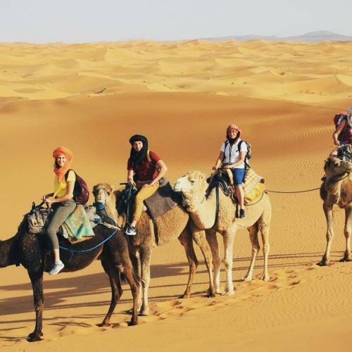 Camp Maktoub Chegaga
