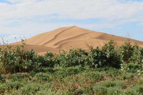 Camp Maktoub Chegaga
