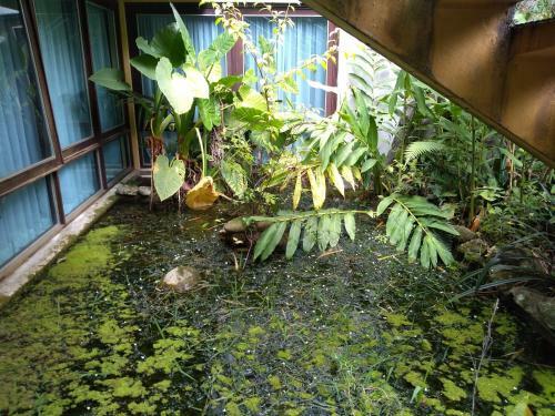 Hostel Kombi Curitiba - Filial Jardim Bot�nico
