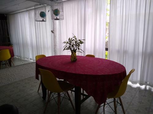 Hostel Kombi Curitiba - Filial Jardim Bot�nico