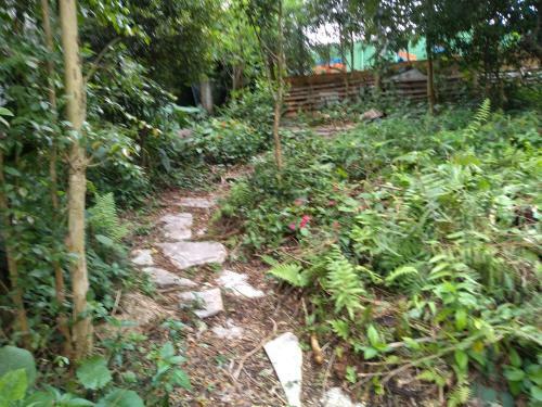 Hostel Kombi Curitiba - Filial Jardim Bot�nico