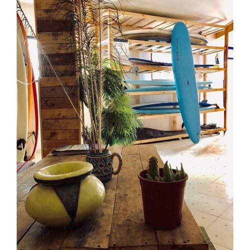 The Surf Hostel