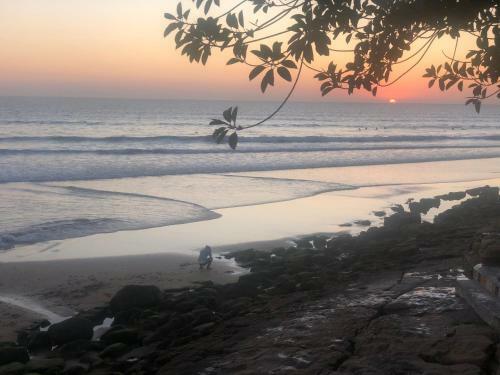 Surf And Skate Hostel Taghazout