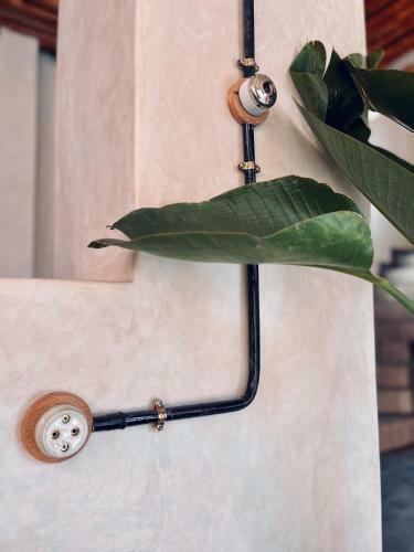 Hotel Atlas Wonders Coworking Surf Camp