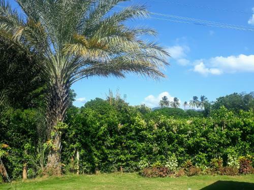 Ecoturismo Los Mangos
