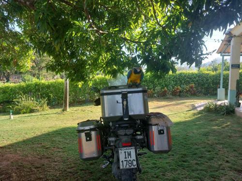 Ecoturismo Los Mangos