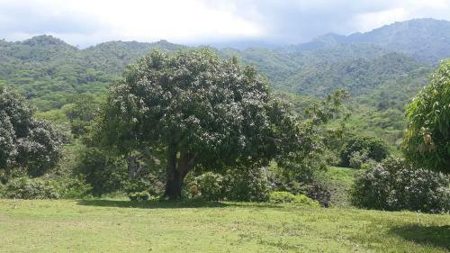 Ecoturismo Los Mangos