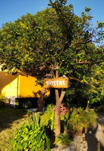 Hostal Mivals