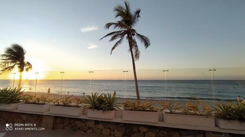 Apartamento Con Salida Directa Al Mar Y Piscina - Appartments