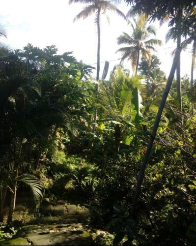 Casa Campo Rinc�n Del R�o