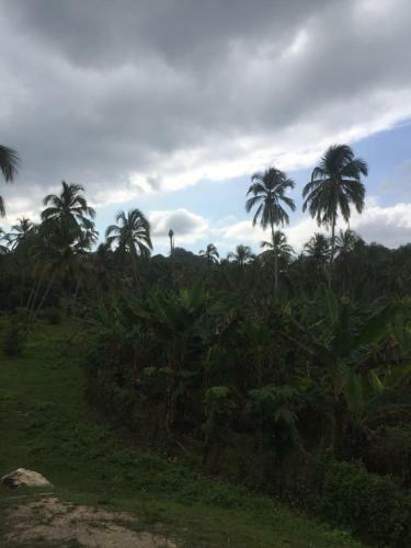 Casa Campo Rinc�n Del R�o