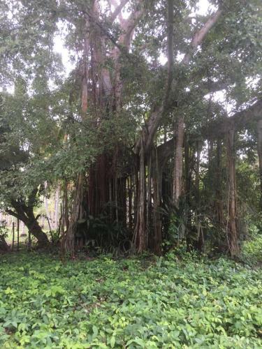 Casa Campo Rinc�n Del R�o