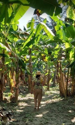 Casa Campo Rinc�n Del R�o